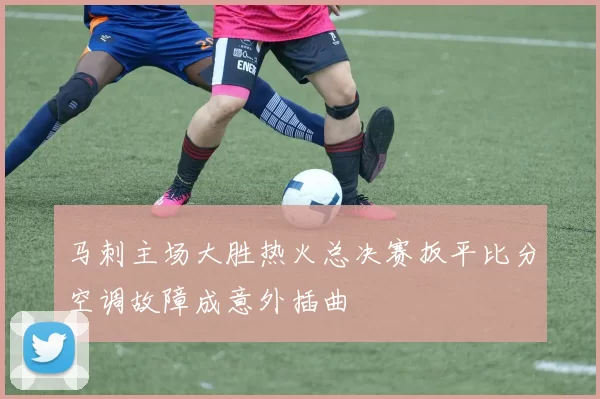 马刺主场大胜热火总决赛扳平比分空调故障成意外插曲