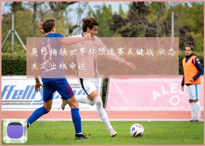 奥巴梅杨世界杯预选赛关键战 状态决定出线命运